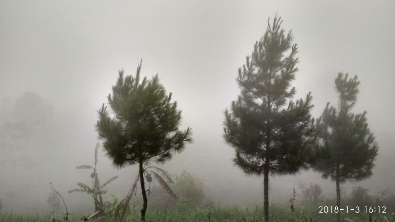 20180103_161229_HDR.jpg