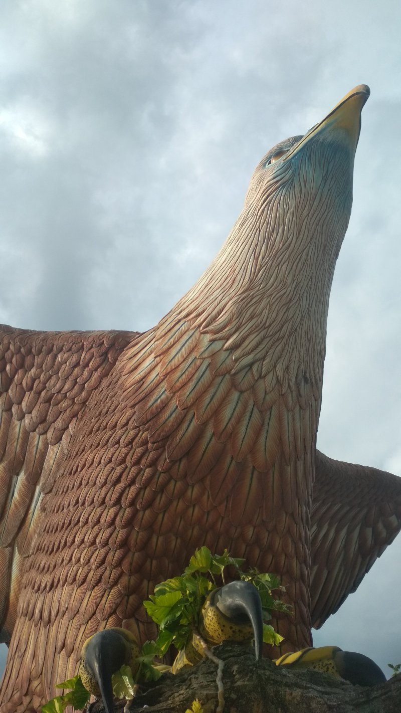 20180629_085637.jpg